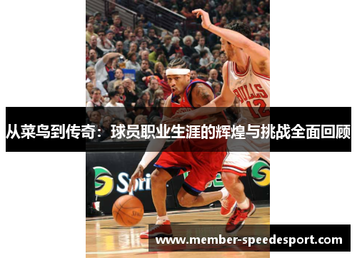 从菜鸟到传奇:球员职业生涯的辉煌与挑战全面回顾 从菜鸟到传奇:球员职业生涯的辉煌与挑战全面回顾