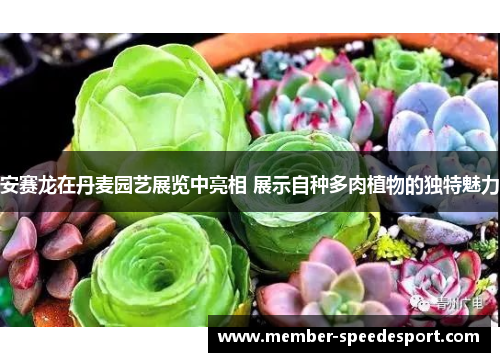 安赛龙在丹麦园艺展览中亮相 展示自种多肉植物的独特魅力 安赛龙在丹麦园艺展览中亮相 展示自种多肉植物的独特魅力