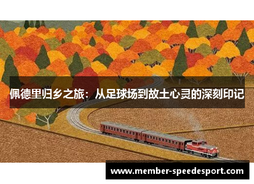 佩德里归乡之旅：从足球场到故土心灵的深刻印记